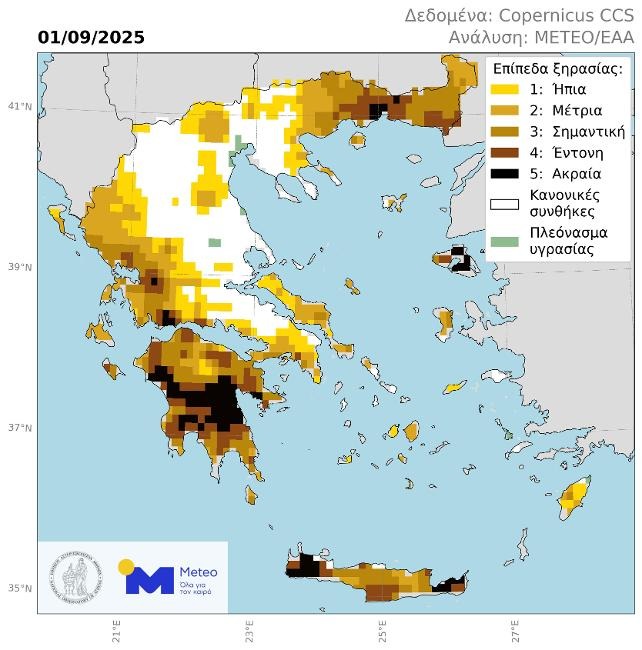 Χάρτης