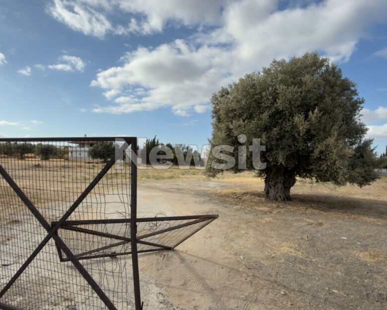 Μεταμόρφωση: Μαχαιρώθηκαν για ασήμαντη αφορμή – Μέσα στους 4 τραυματίες Κρητικός που προσπάθησε να τους χωρίσει