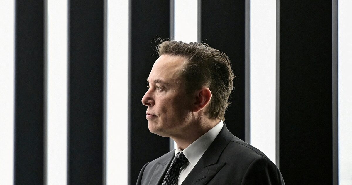The name of Elon Musk in files associated with Jeffrey Estain