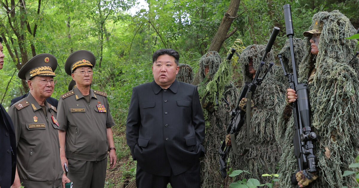 Ukraine: Nearly 2,000 North Korean soldiers were killed by fighting on the side of Russia