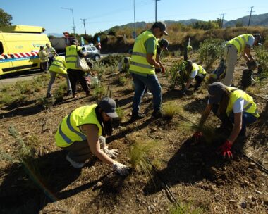 olympia-odos-environment-day-vinci