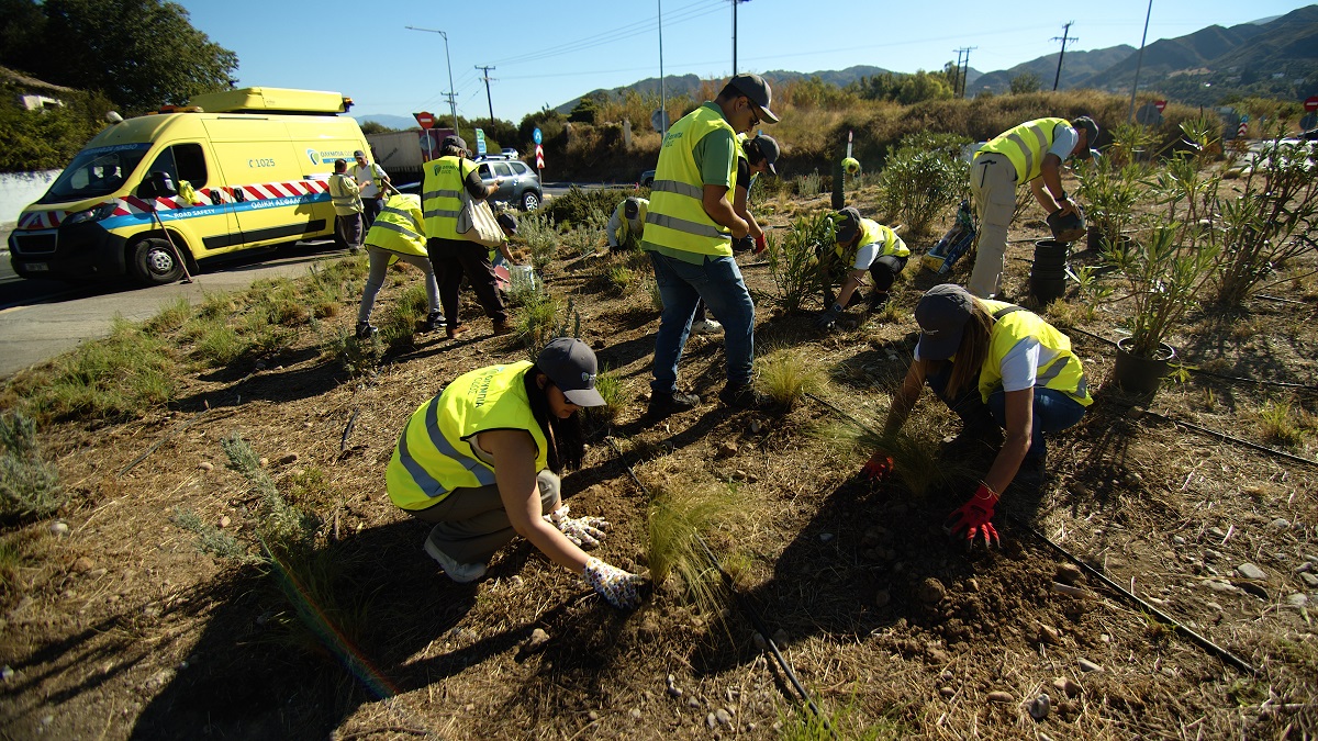olympia-odos-environment-day-vinci