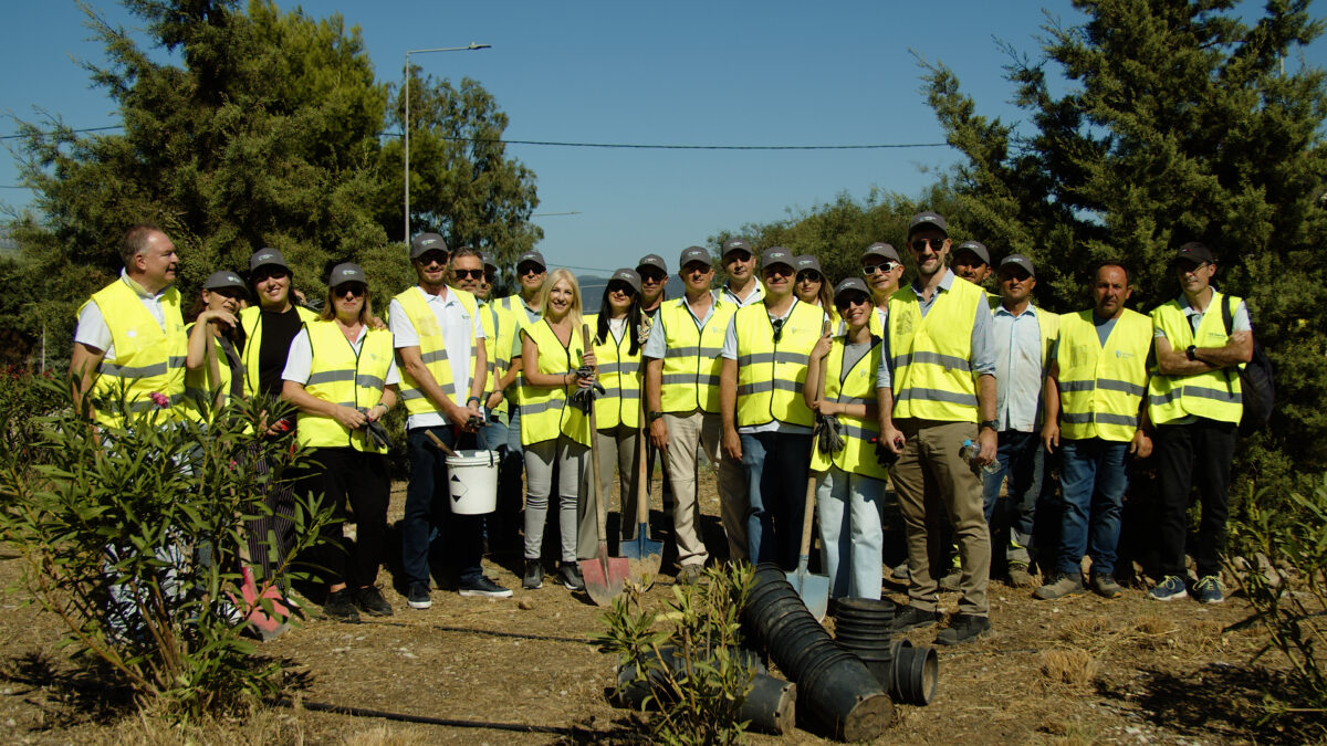olympia-odos-environment-day-vinci