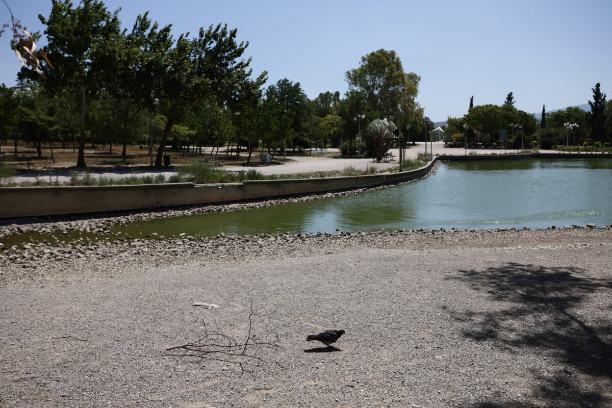 Πάρκο Τρίτση