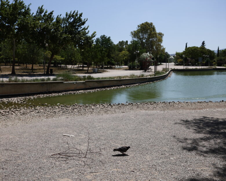 Πυροβολισμοί μεταξύ Ρομά στο Πάρκο Τρίτση: Σφαίρες σφηνώθηκαν σε αυτοκίνητα και τοίχους – Άφαντοι οι δράστες