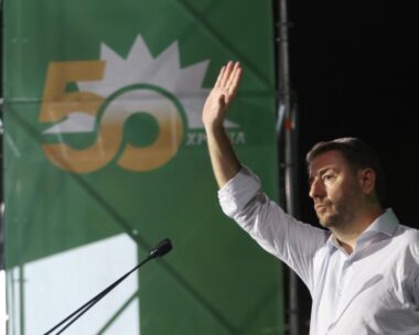 Ο πρόεδρος του ΠΑΣΟΚ Νίκος Ανδρουλάκης