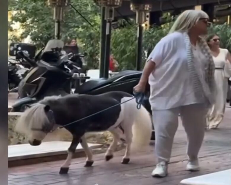 Γυναίκα πήγε βόλτα στο κέντρο της Αθήνας με το πόνυ της – Δείτε βίντεο