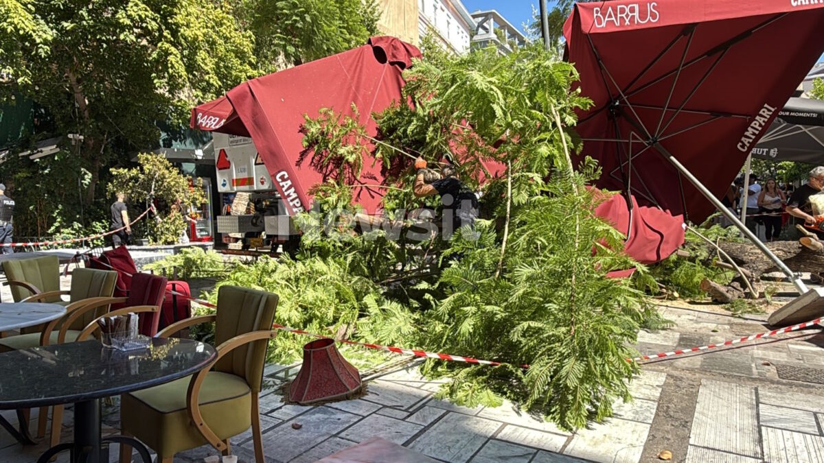 Πτώση δέντρου στην Αθήνα