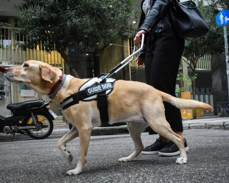 Οδηγός αρνήθηκε να επιβιβάσει στο ταξί τυφλή παραολυμπιονίκη με τον σκύλο – συνοδό της: «Εδώ κάνω εγώ κουμάντο»