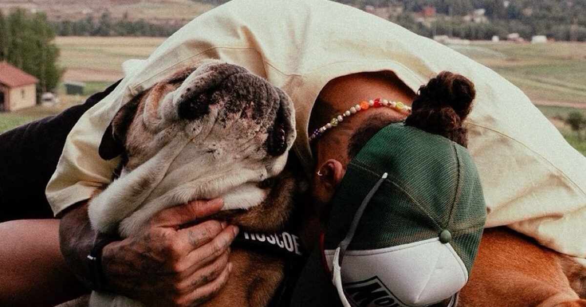 Lewis Hamilton’s dog died: “I lost my best friend – it’s one of the most painful experiences”