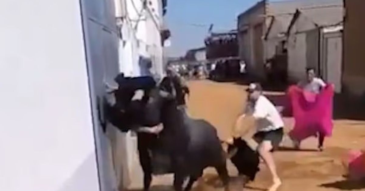 Spain: Taurus nails with 17 -year -old horns and throws him in the air at festival – Watch the video