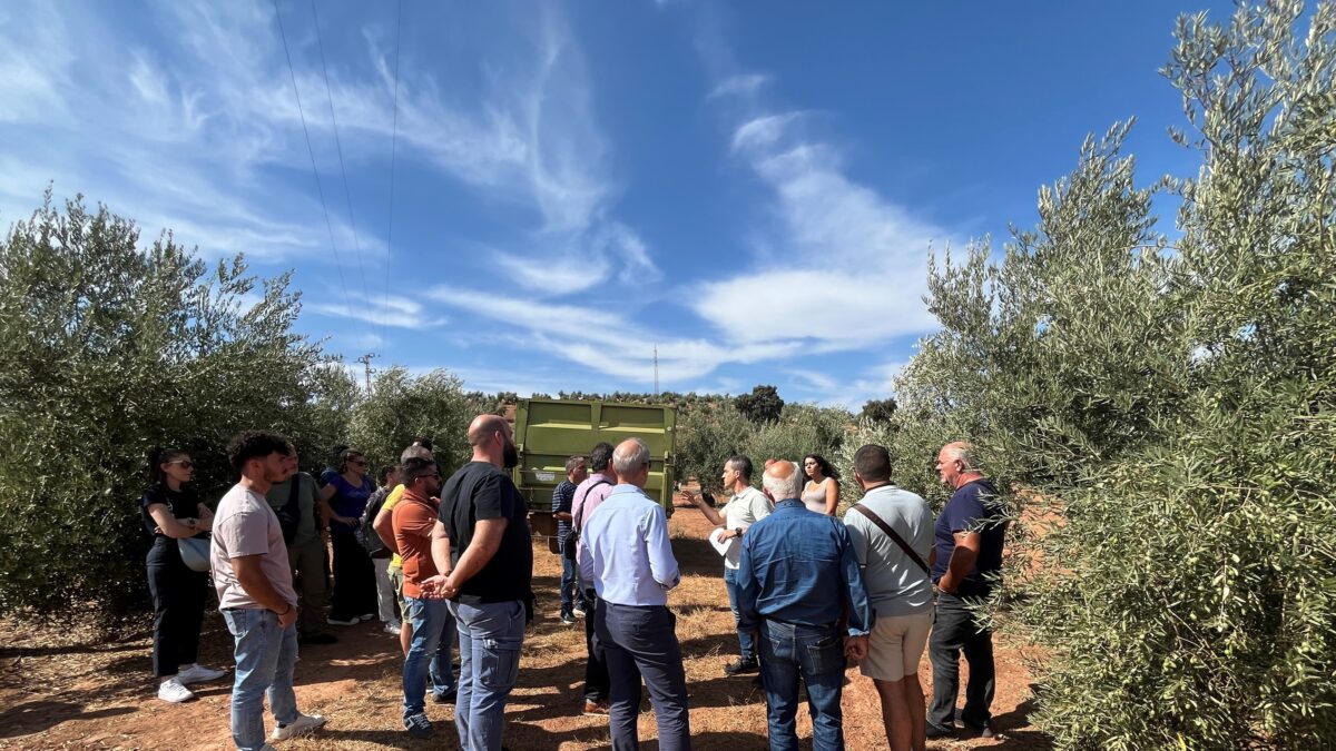 Η Ακαδημία Ελιάς Terra Creta στην καρδιά της Ανδαλουσίας