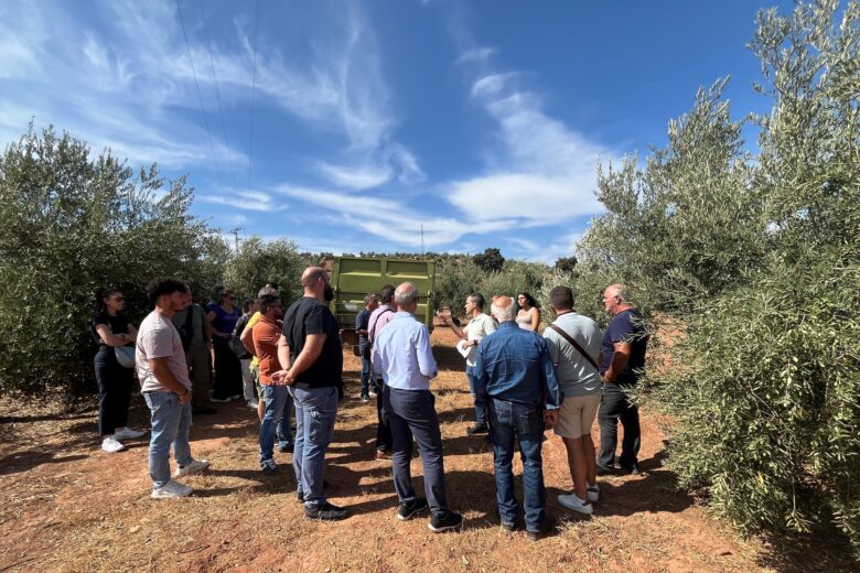 Η Ακαδημία Ελιάς Terra Creta στην καρδιά της Ανδαλουσίας