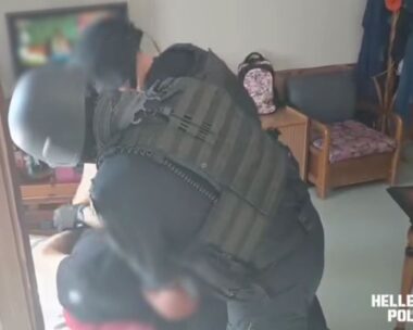Αστυνομικοί συλλαμβάνουν τον 62χρονο για παράνομη υλοτομία