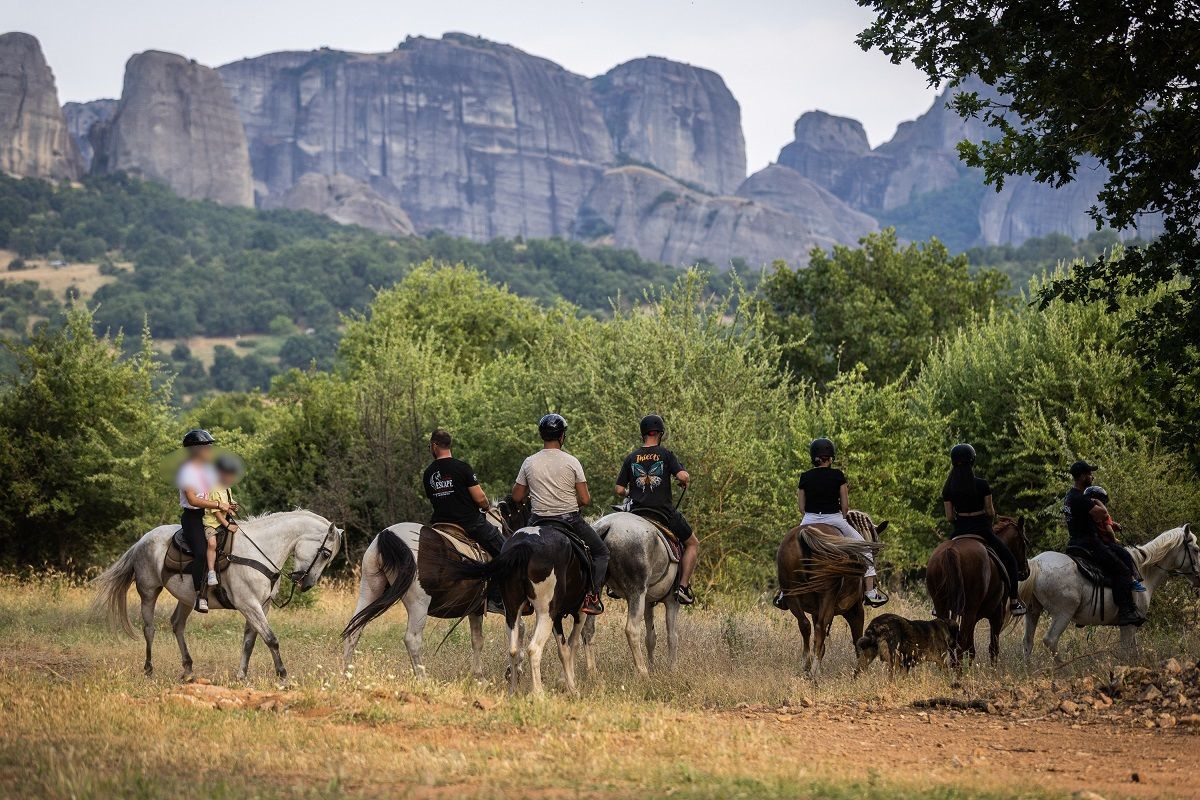 Κυνήγι τρούφας με άλογα στα Μετέωρα – Μια μοναδική εμπειρία