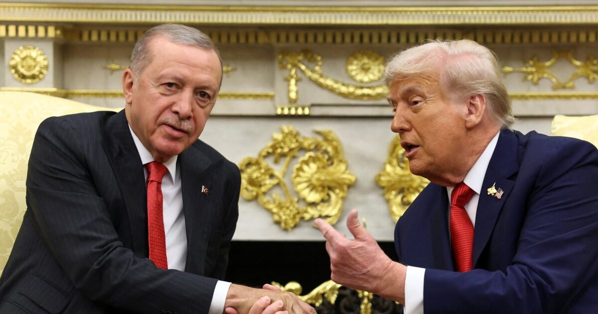 “Nail” Trump in Erdogan: “He knows better than anyone what he means in elections”