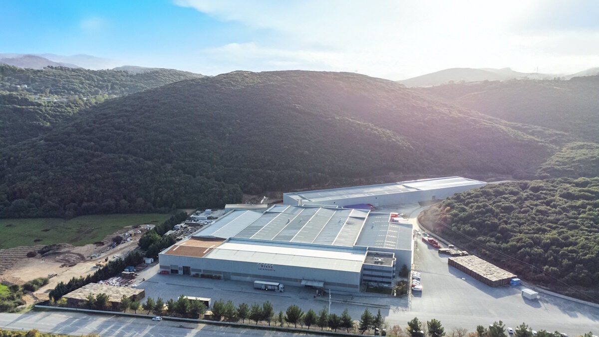 Το plant στα Ζαγοροχώρια