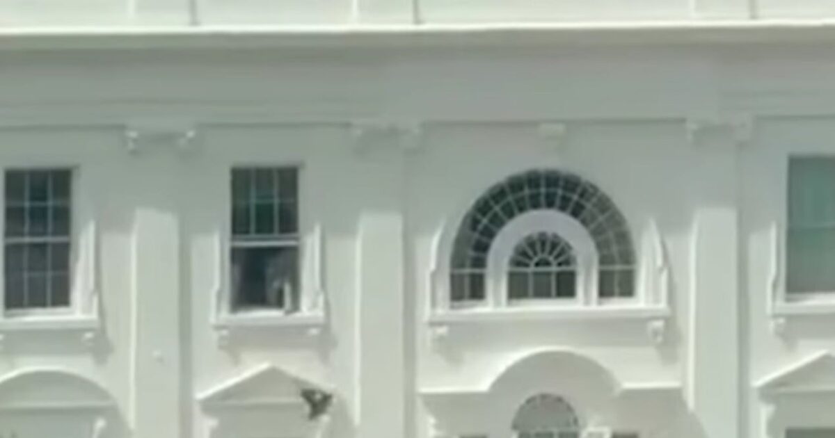White House: Viral Video with Mysterious Objects Lanted Out of the Window of Presidential Residence