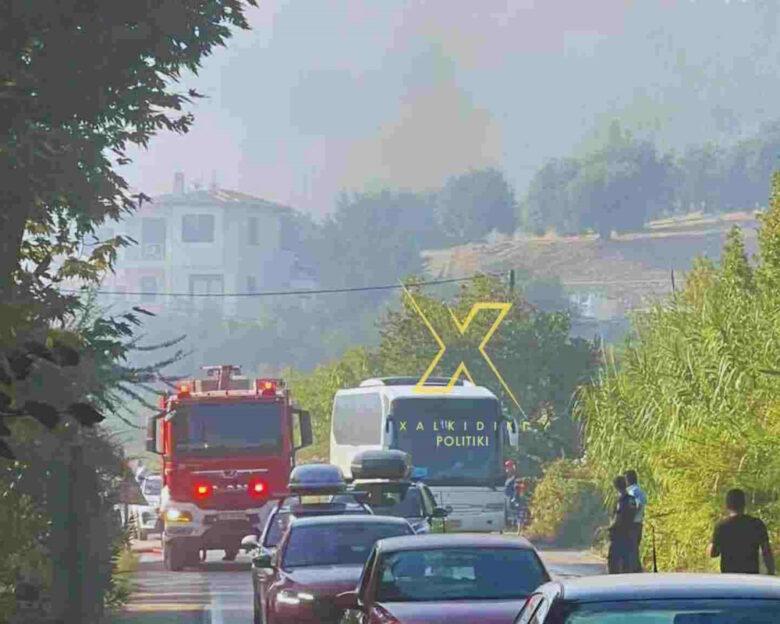 Φωτιά στη Χαλκιδική στην περιοχή Λαγόμανδρα – Σηκώθηκαν 5 αεροσκάφη και 2 ελικόπτερα, ήχησε 112