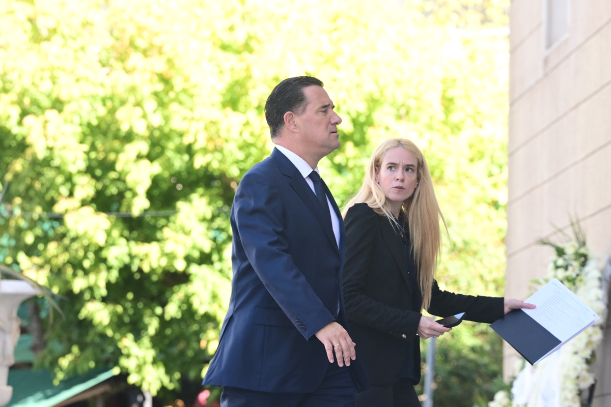 Ο Άδωνις Γεωργιάδης
