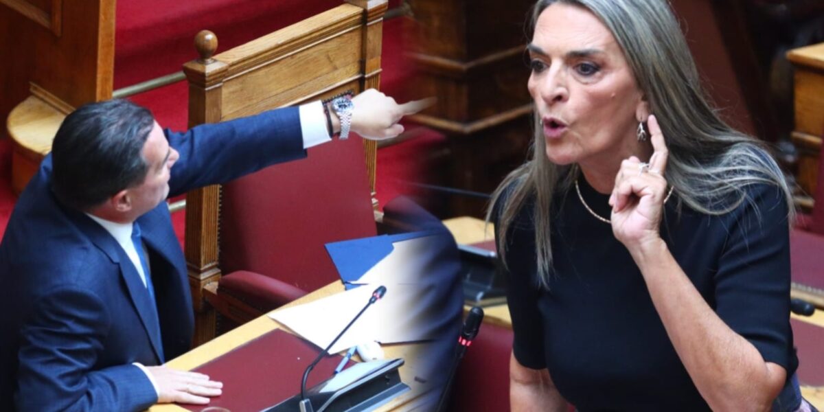 Κόντρα μεταξύ Γεωργιάδη και Πέρκα στη Βουλή: «Δεν σας απήγαγε κανένας, πήγατε για τη selfie στη Γάζα» - «Θα ξαναπάω»