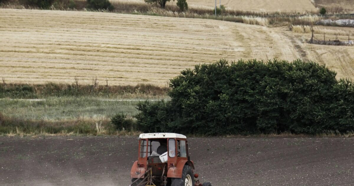 Hatzidakis: As soon as possible to pay agricultural subsidies