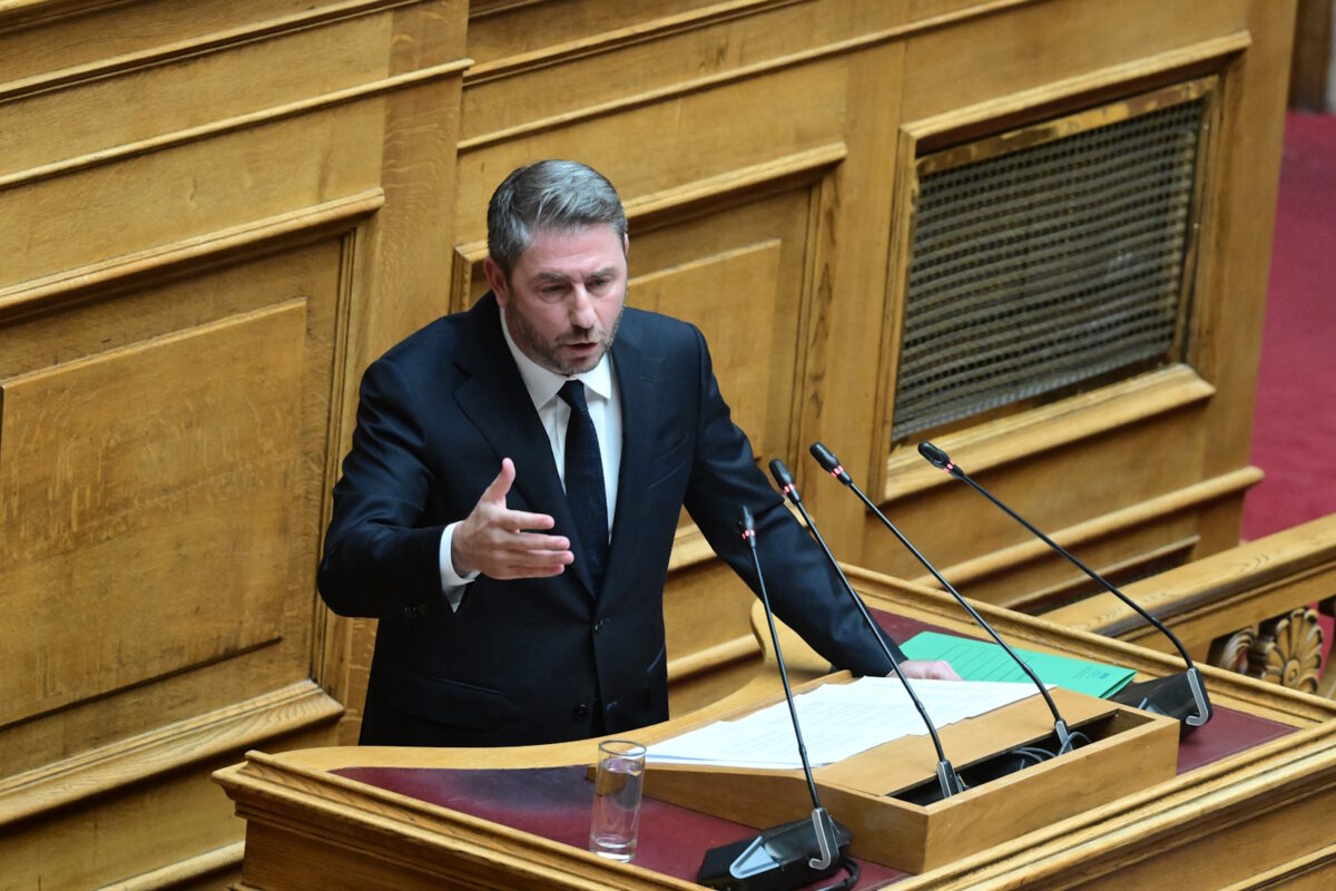 Ο Νίκος Ανδρουλάκης