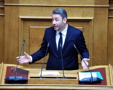 Ο Νίκος Ανδρουλάκης στη Βουλή