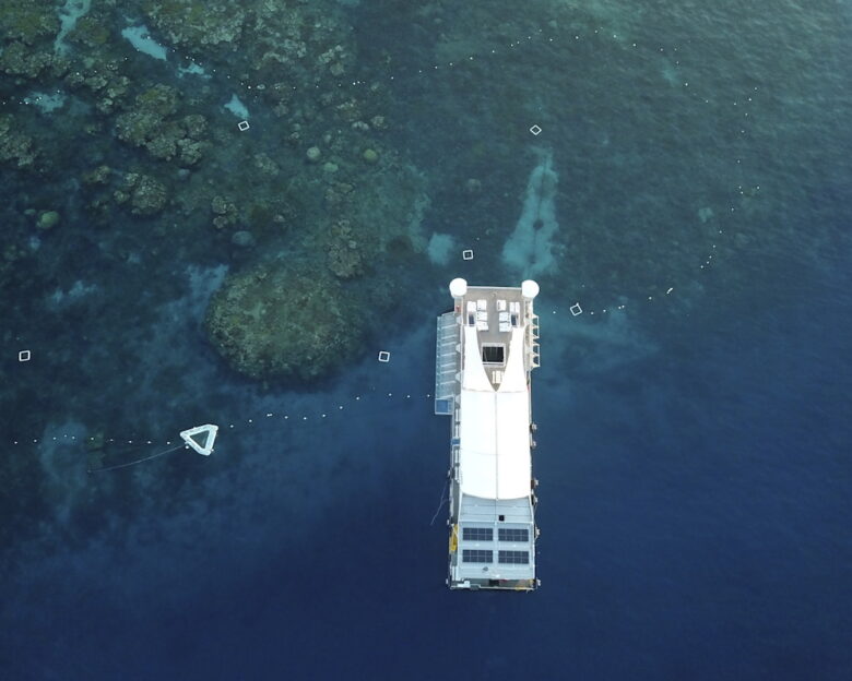 Αυστραλία: Κρουαζιερόπλοιο ξέχασε 80χρονη σε νησί και όταν επέστρεψε την βρήκαν νεκρή