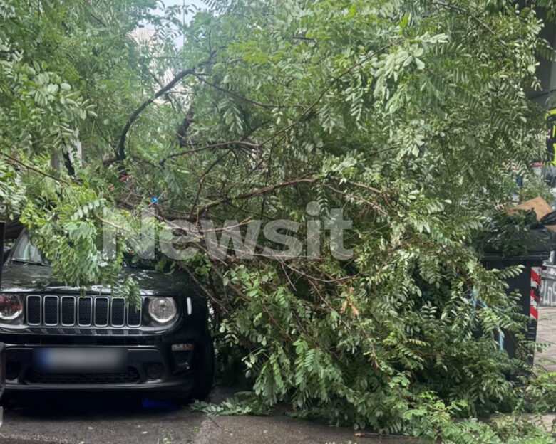 Δέντρο έπεσε απο την κακοκαιρία στην Εμμανουήλ Μπενάκη – Ένας ελαφρά τραυματίας