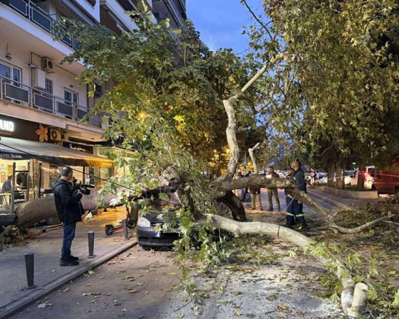 Θεσσαλονίκη: Δέντρο έπεσε σε αυτοκίνητο προκαλώντας ζημιές – Οι ρίζες του «εισέβαλαν» σε επιχείρηση, δείτε φωτογραφίες