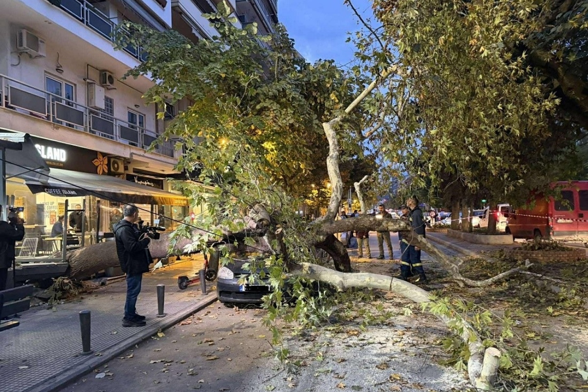 Δέντρο