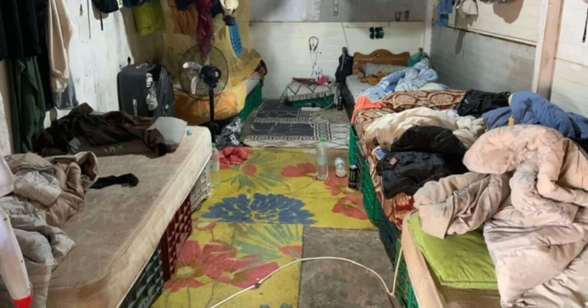 The Greek FBI “dried up” circuit exploited by foreign land workers – photos and videos from the business