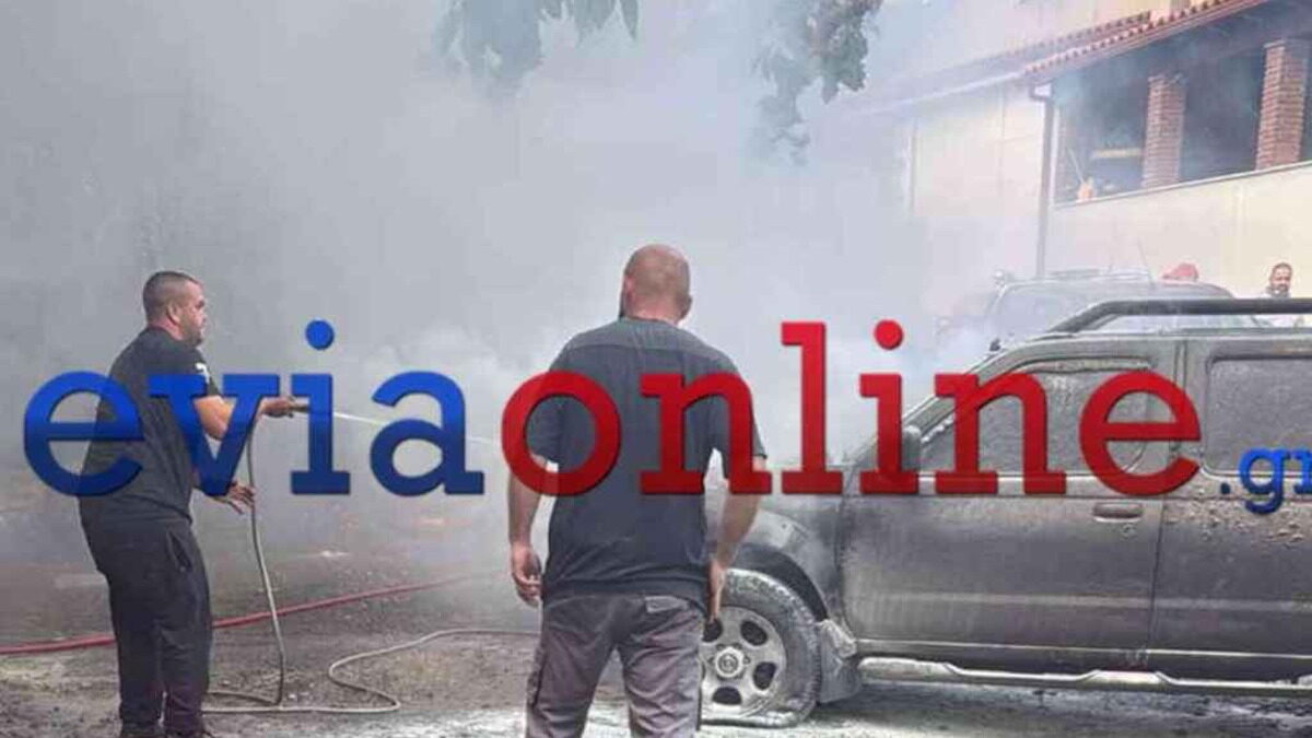 Η φωτιά στην Εύβοια