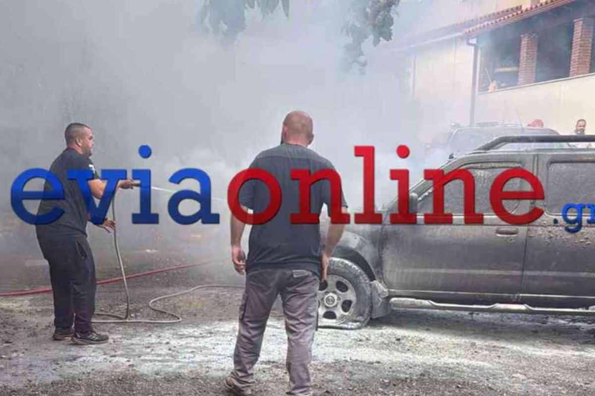 Η φωτιά στην Εύβοια