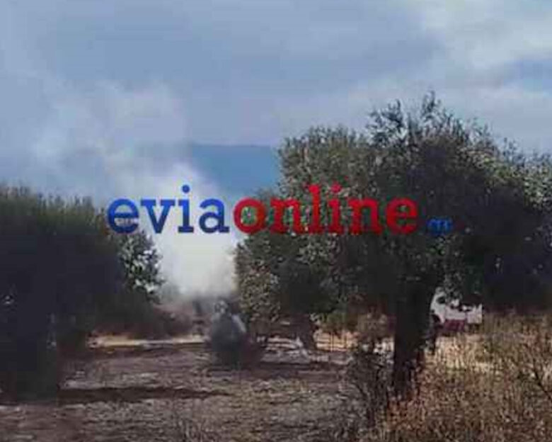 Φωτιά στο Αλιβέρι: Προσαγωγή και σύλληψη 62χρονου για εμπρησμό