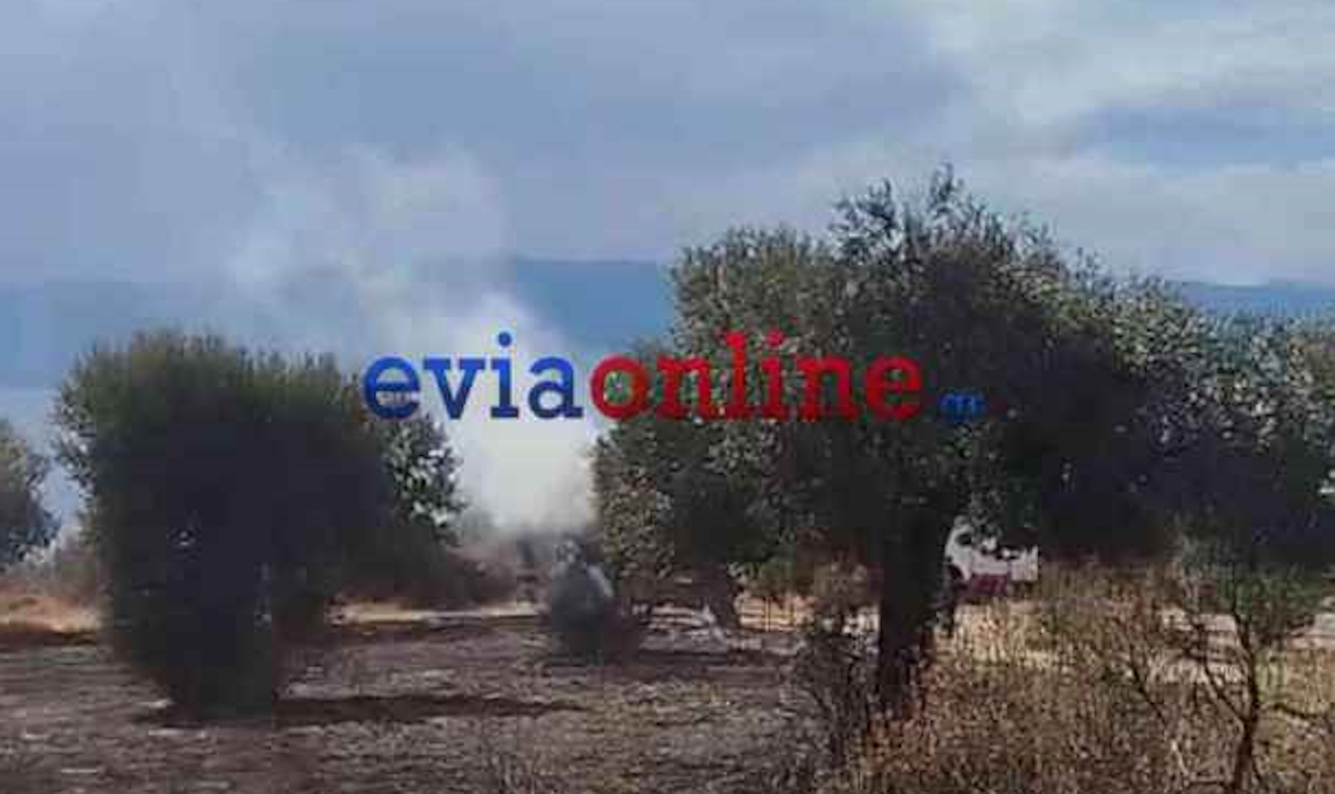 Φωτιά στο Αλιβέρι