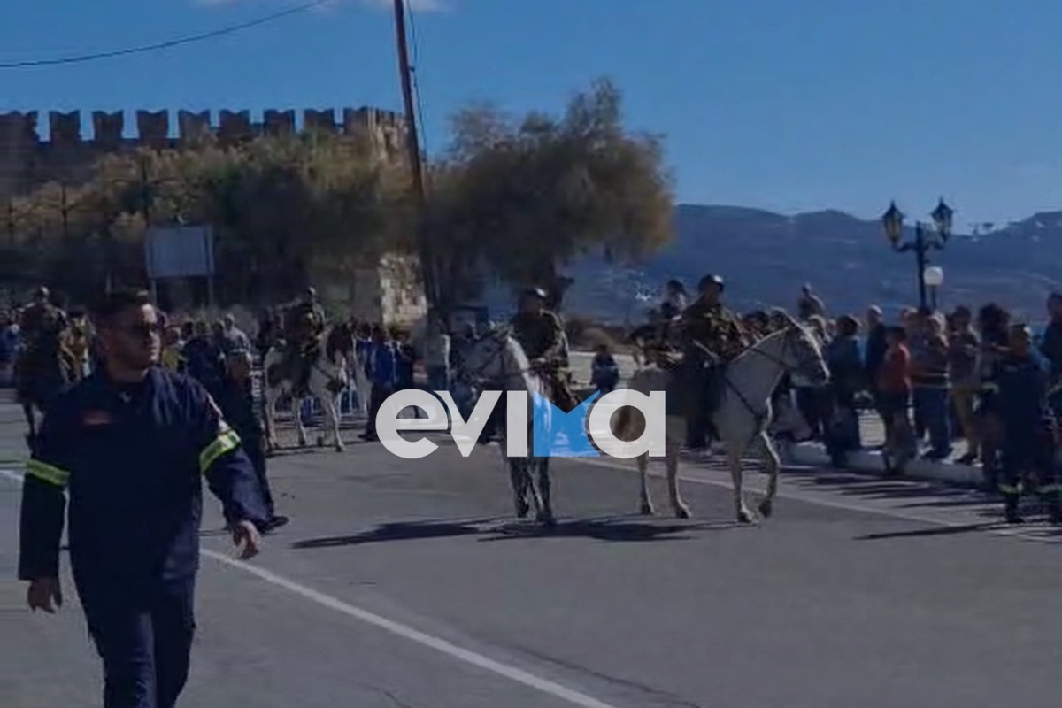 άλογα