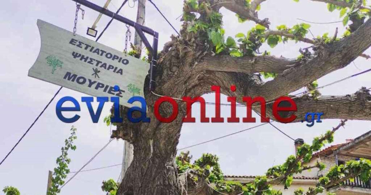 Euboea: A 67 -year -old tavern owner fell off the lad