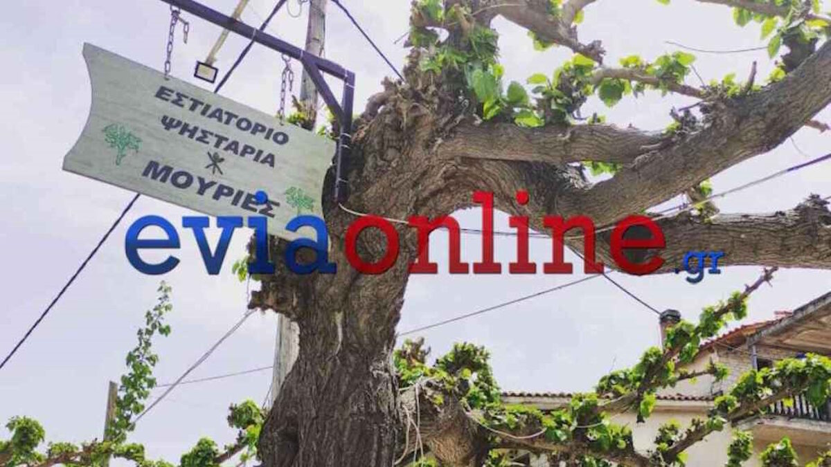 Ιδιοκτήτης ταβέρνας στην Εύβοια έπεσε από σκάλα και σκοτώθηκε