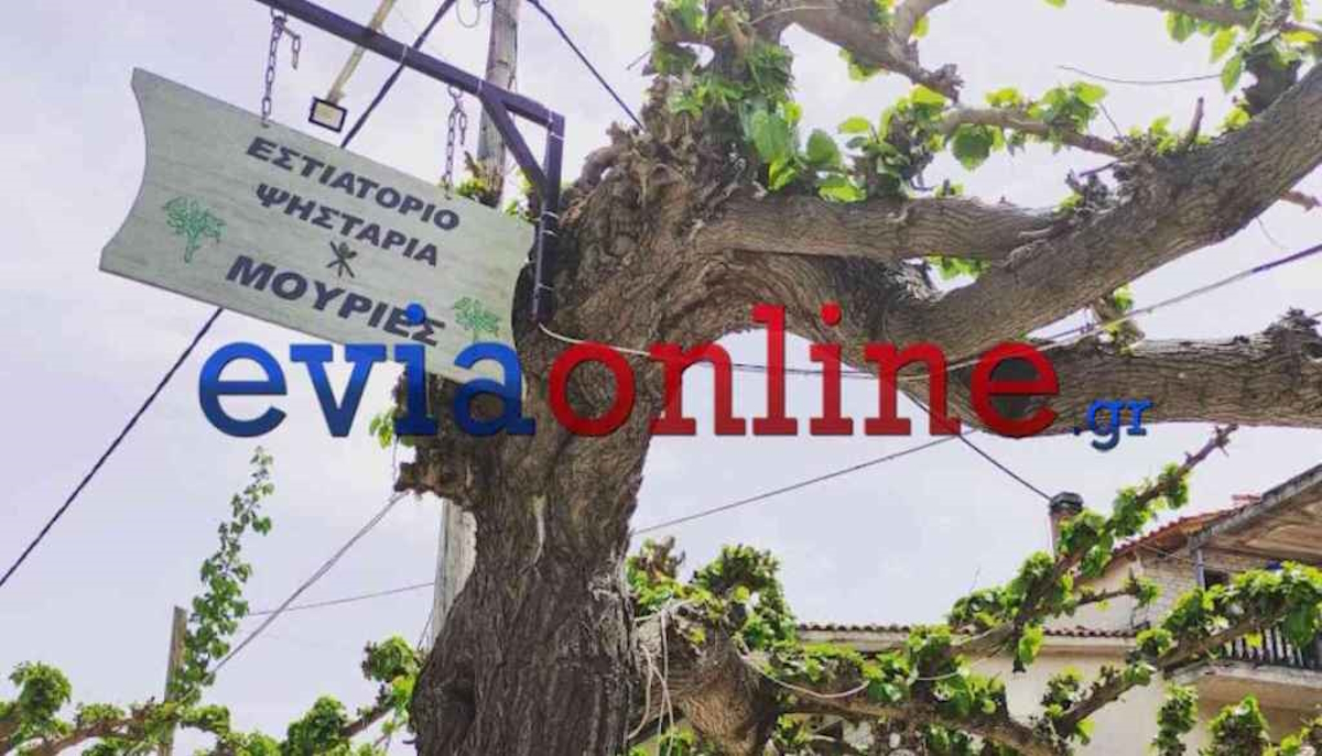 Ιδιοκτήτης ταβέρνας στην Εύβοια έπεσε από σκάλα και σκοτώθηκε