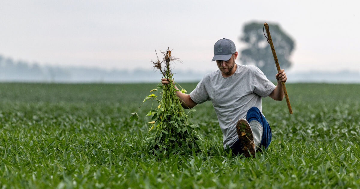 China will buy 12 million tons of soybeans this year, Bessent says