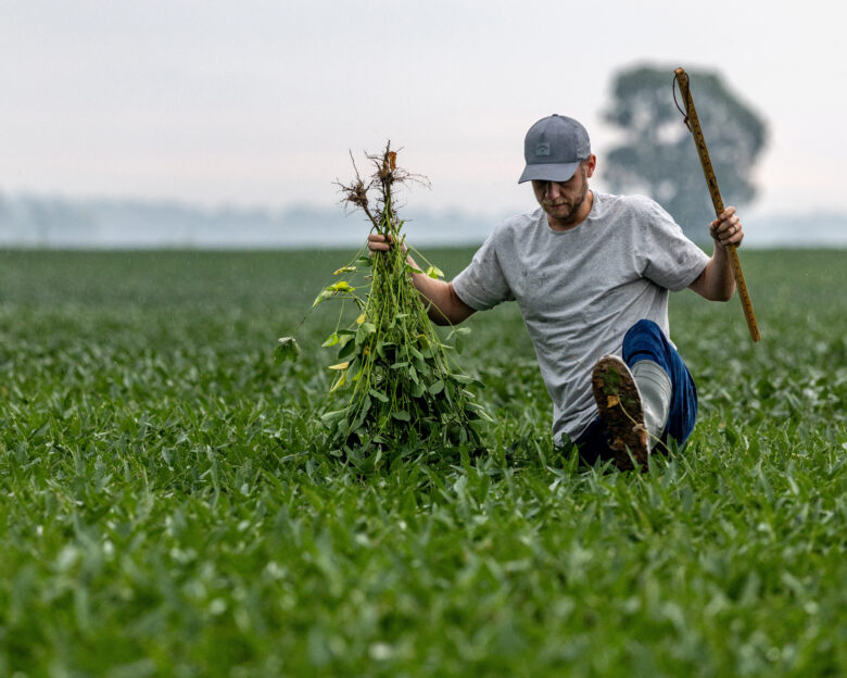 Η Κίνα θα αγοράσει 12 εκατομμύρια τόνους σόγιας φέτος, λέει ο Μπέσεντ