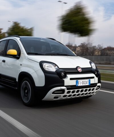 FIAT PANDINA