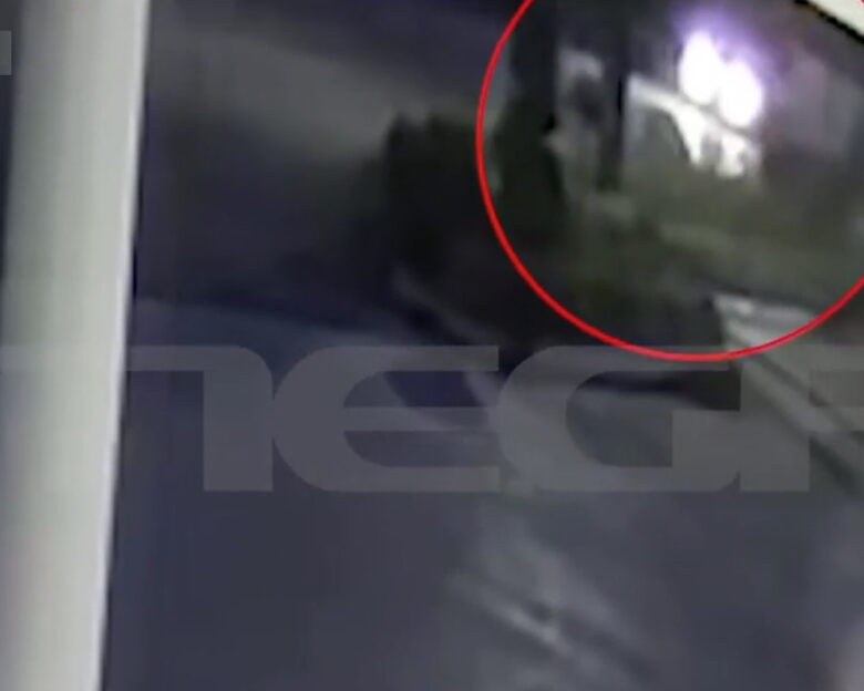 Φοινικούντα: Νέα βίντεο ντοκουμέντα πριν την διπλή δολοφονία – Συγκλονίζουν οι μαρτυρίες συγγενών του 68χρονου ιδιοκτήτη κάμπινγκ