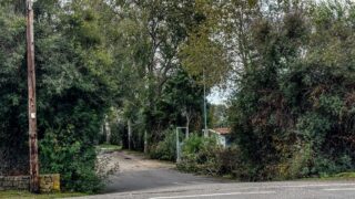 Η είσοδος του κάμπινγκ στη Φοινικούντα