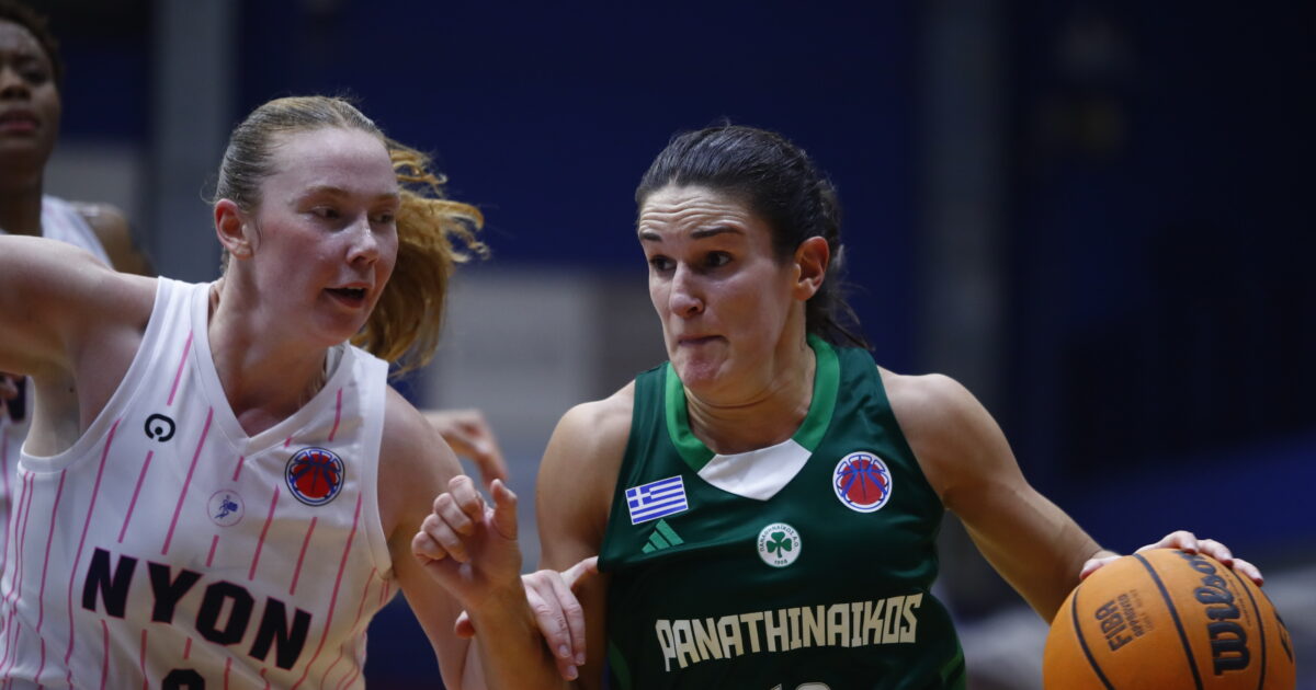 With Samantha Galanopoulos, the calls of the National Women’s National Team for the Eurobasket qualifiers With Samantha Galanopoulos, the calls of the National Women’s National Team for the Eurobasket qualifiers
