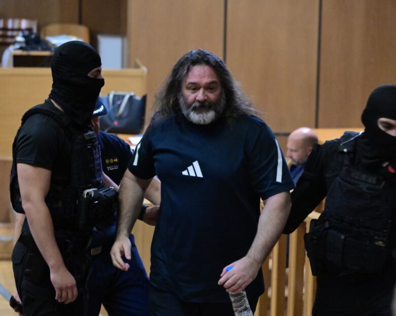 Δίκη Χρυσής Αυγής: Ένταση με τον Γιάννη Λαγό, στην κατάθεση της συζύγου του Μιχαλολιάκου – «Σκουπίδια, εκτελείτε εντολές»