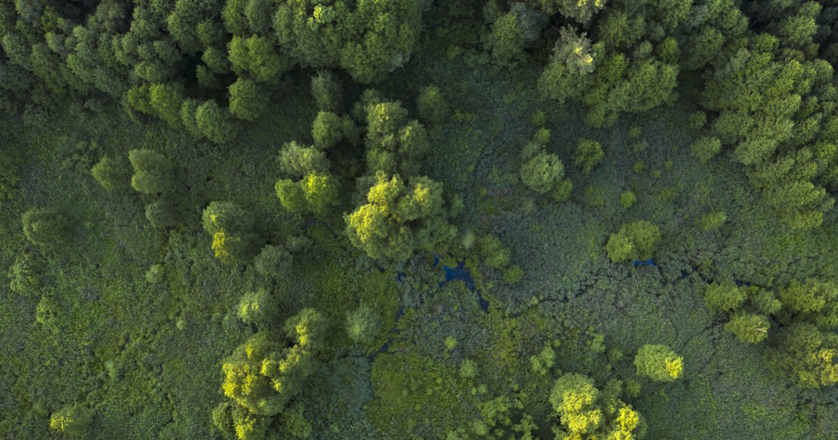 Investment in the sustainability and safety of Mount Pentelikos by HELLENiQ ENERGY