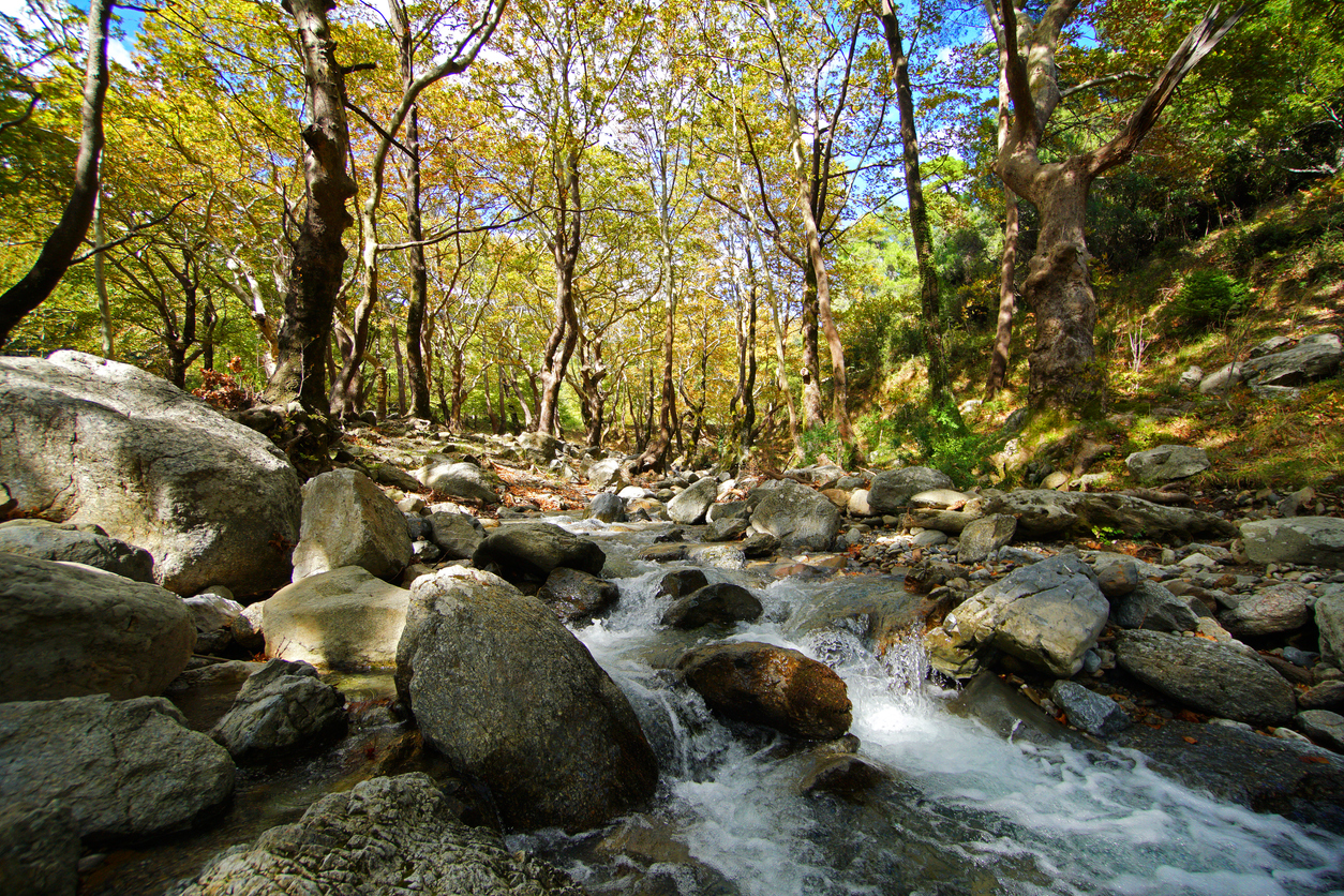 Crystal clear river and forest in autumn at Steni Dirfyos in the central part of the island of Euboea, Greece.